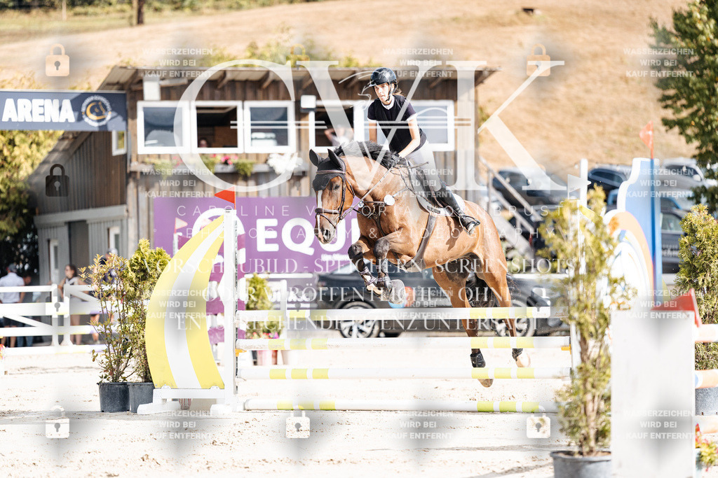 CK909048 | Turnierfotografie Pferdefotografie Trier Rheinland-Pfalz Pferdesport Reitsport Tierfotografie Sportfotografie Pferdevideo Pferdevideografie Equestrianvideography equestrianphotography  - Realisiert mit Pictrs.com