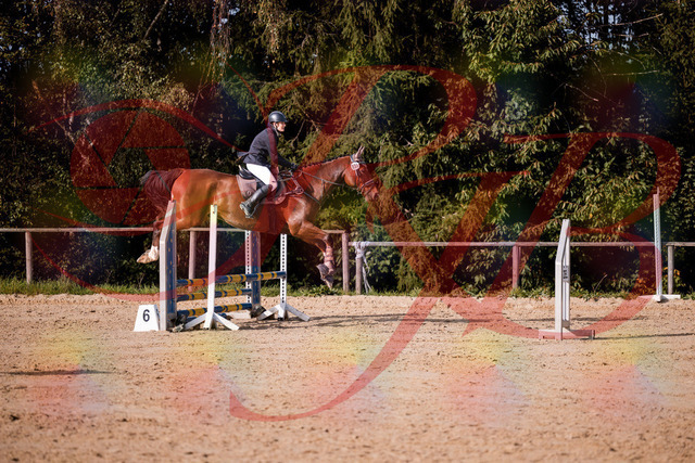 2026_10_03_Siefer-Hof_155630_Z81_76111677 | Professionelle Reitsport-, Turnier- und Eventfotografie von Robert Broda. Galerien mit ausgewählten und bearbeiteten Bildern direkt online ansehen und bestellen.