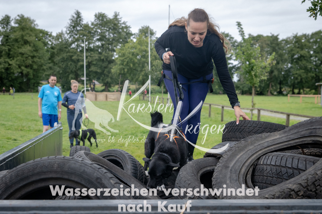 1231_ZZ91102 | kk-dogfotos