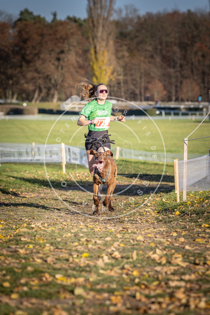 CaniXpix_DV3A1910 | Hundefotografie, Tierfotograf, Pfotenfotografie, Fotoshooting Hund, Hunde Portrait, Hundesport, Hundeportraits, Heideshooting, Hunde, Sportfotograf, Hundefotograf, Turnierhundsport, THS,  - Realisiert mit Pictrs.com