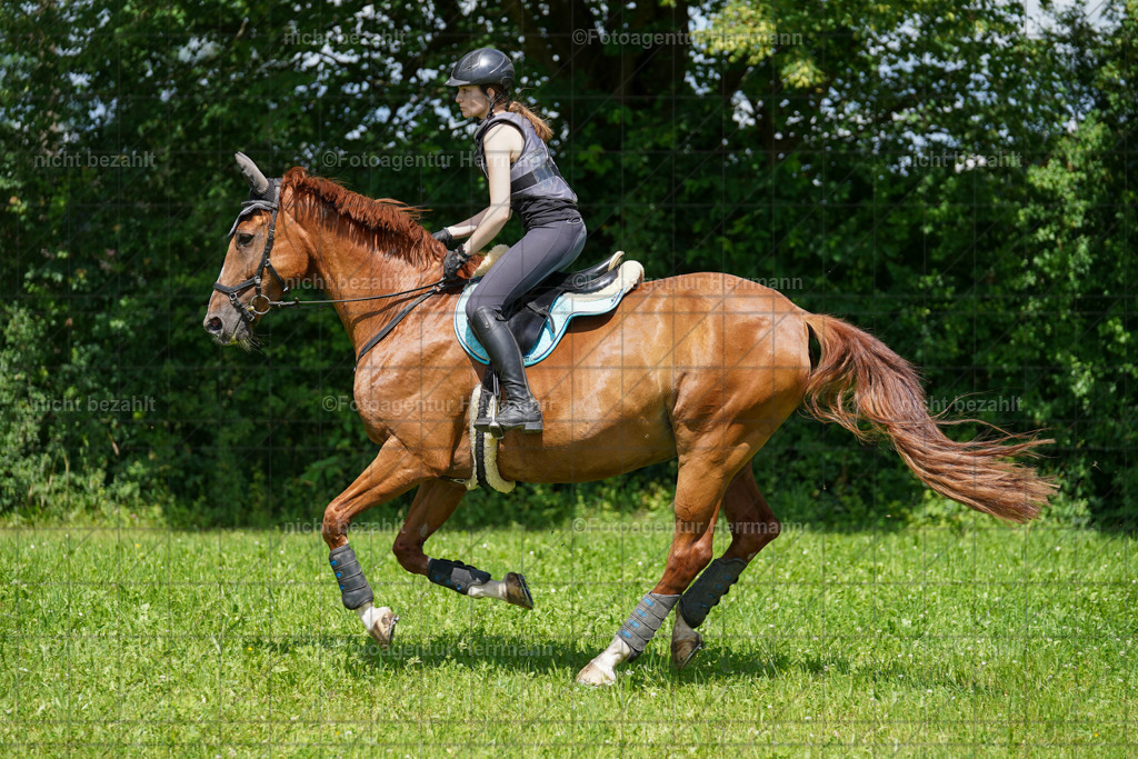20240622-FAH06778 | Turnierfotografen Bayern, Reitsportbilder aus dem Geländekurs mit Felix Etzel auf dem Gut Waitzacker 2024