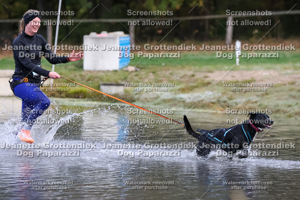 Dog Paparazzi - Strongdog 10-25-6304 | Dog Paparazzi Jeanette Grottendiek Fotografie & Videografie - Realisiert mit Pictrs.com