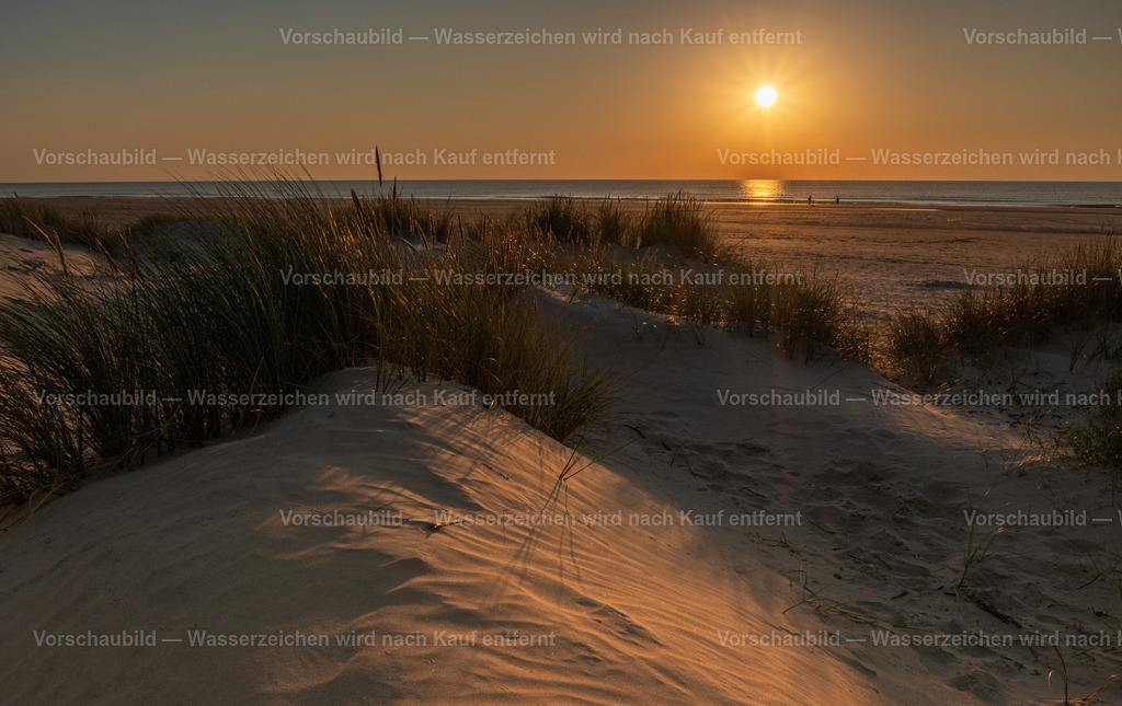 Dünenlandschaft | am Meer in Jütland - Realisiert mit Pictrs.com