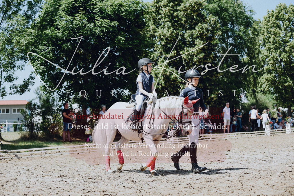 DSC_2486 | Pferde- und Turnierfotografie in Westsachsen. Pferdeportraits, Auftragszeichnungen und intuitive Kunst.