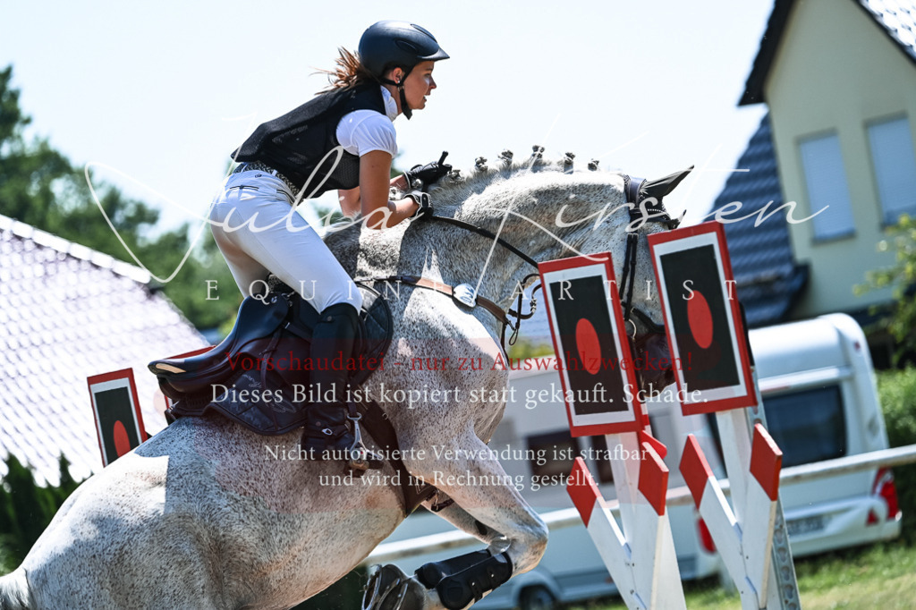 DSC_0304 | Pferde- und Turnierfotografie in Westsachsen. Pferdeportraits, Auftragszeichnungen und intuitive Kunst.