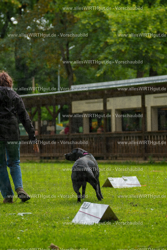 @allesWIRTHgut_Tierfotografie - www.allesWIRTHgut.de - 101708-7R508293 | Professionelle Tierfotografie in Mönchengladbach von Daniel Wirth (allesWIRTHgut). Liebevolle & natürliche Bilder von Hunden & Katzen für unvergessliche Erinnerungen.