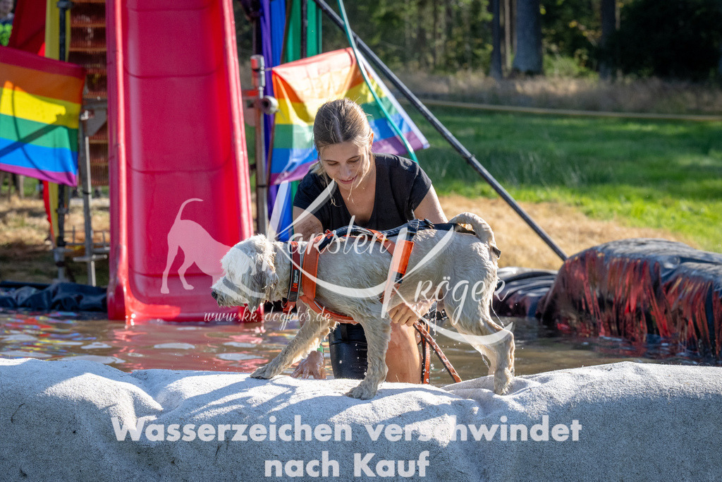 1637_ZZ90378 | kk-dogfotos