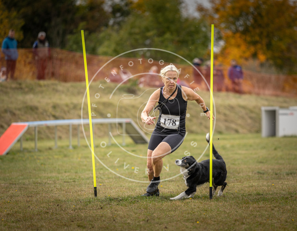 Pfotenfotografie_DV3A5891 | Hundefotografie, Tierfotograf, Pfotenfotografie, Fotoshooting Hund, Hunde Portrait, Hundesport, Hundeportraits, Heideshooting, Hunde, Sportfotograf, Hundefotograf, Turnierhundsport, THS,  - Realisiert mit Pictrs.com
