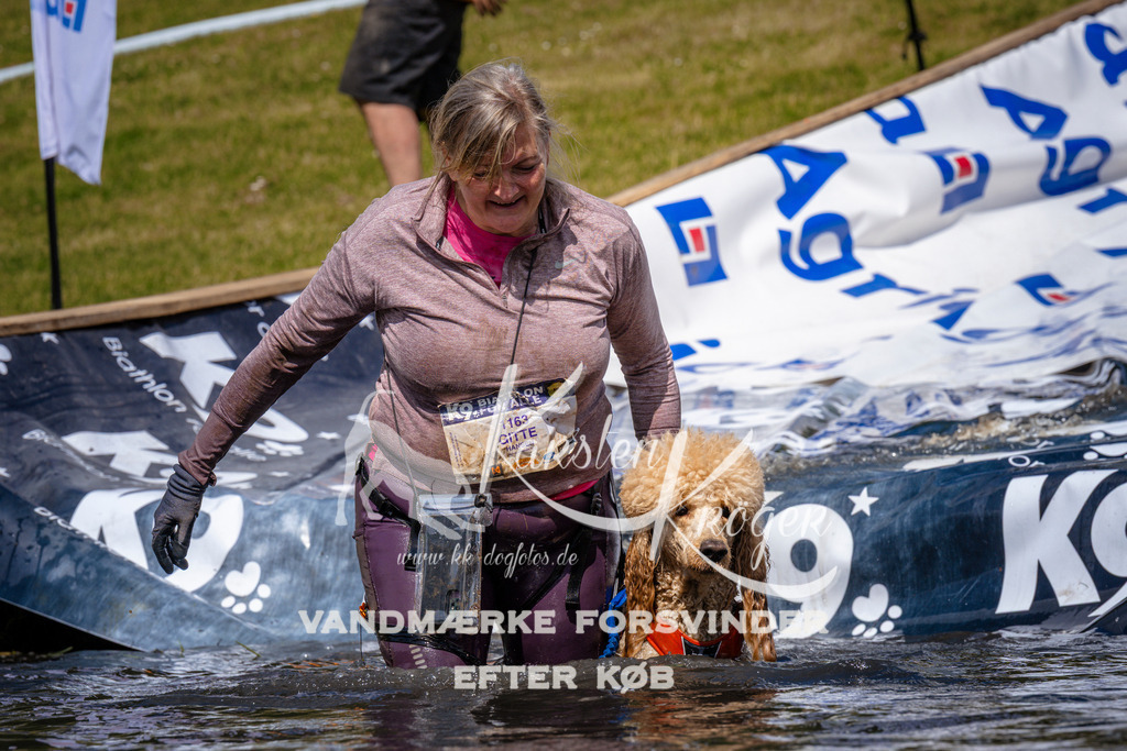 _ZZ970281022 | kk-dogfotos