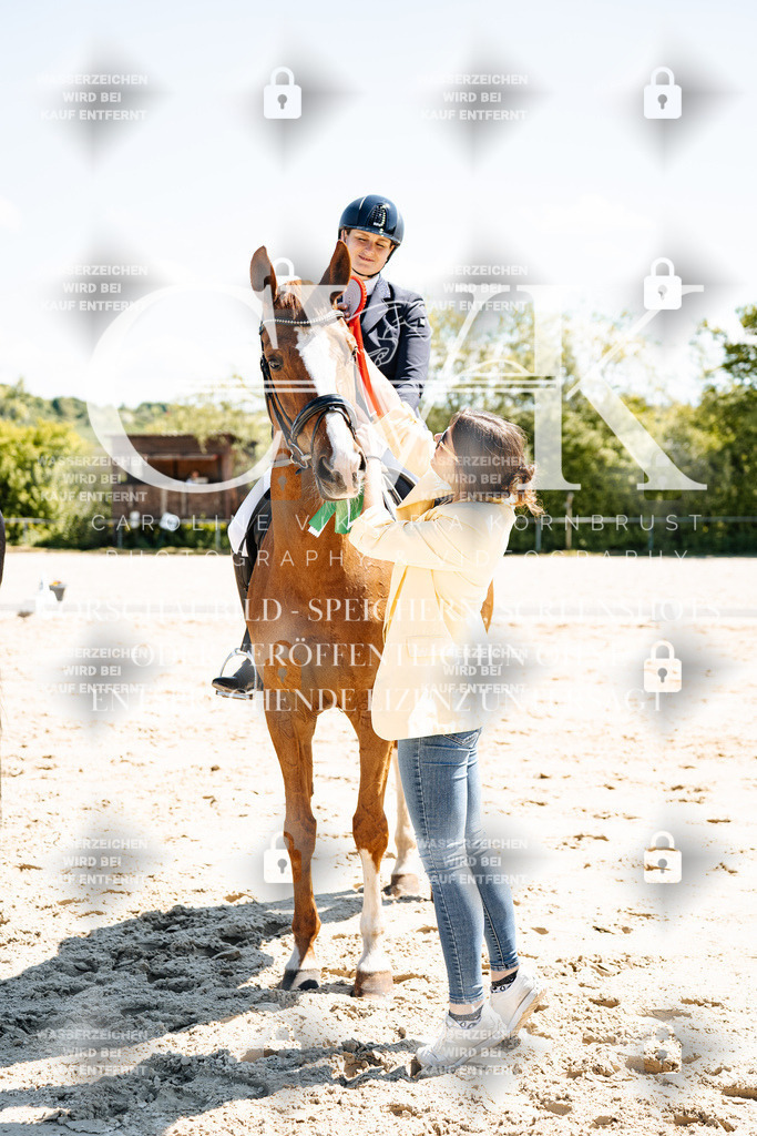 CK703539 | Turnierfotografie Pferdefotografie Trier Rheinland-Pfalz Pferdesport Reitsport Tierfotografie Sportfotografie Pferdevideo Pferdevideografie Equestrianvideography equestrianphotography  - Realisiert mit Pictrs.com