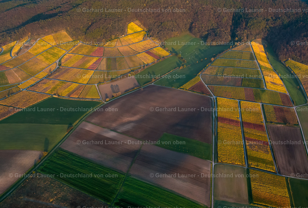 9102152 | Weinbergslandschaft zw. Abtswind und Greuth