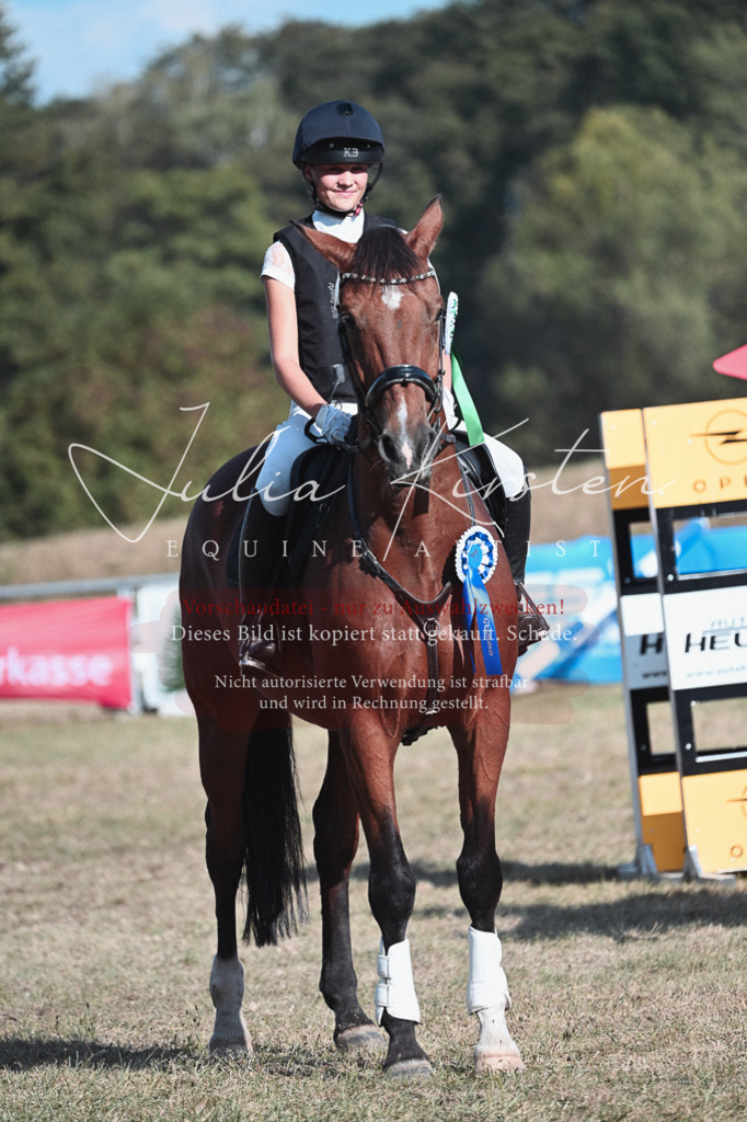 DSC_8888 | Pferde- und Turnierfotografie in Westsachsen. Pferdeportraits, Auftragszeichnungen und intuitive Kunst.