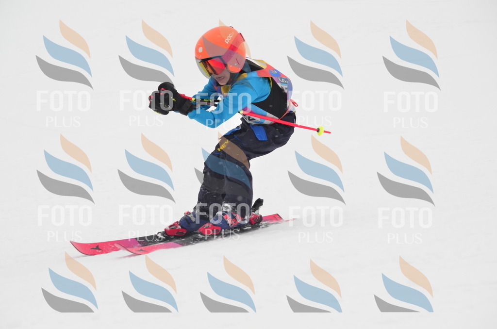 C0972 | holidayphoto