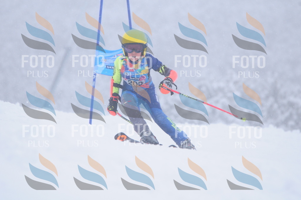 C2232 | holidayphoto