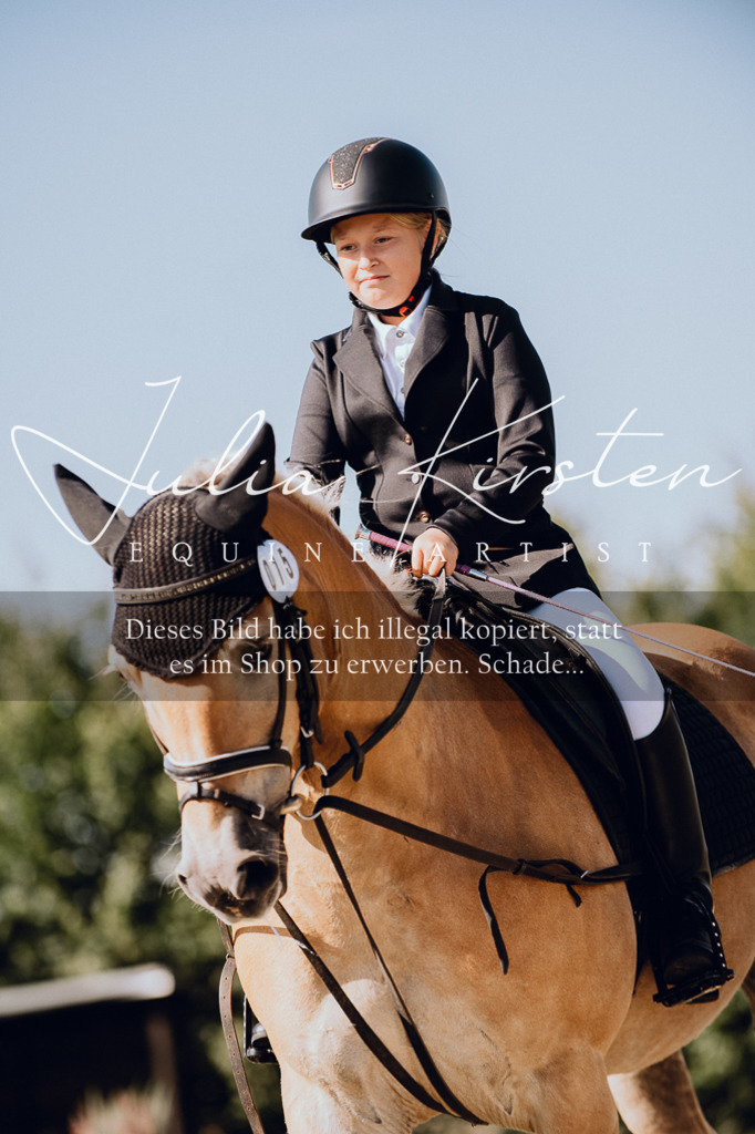 DSC_7085 | Pferde- und Turnierfotografie in Westsachsen. Pferdeportraits, Auftragszeichnungen und intuitive Kunst.