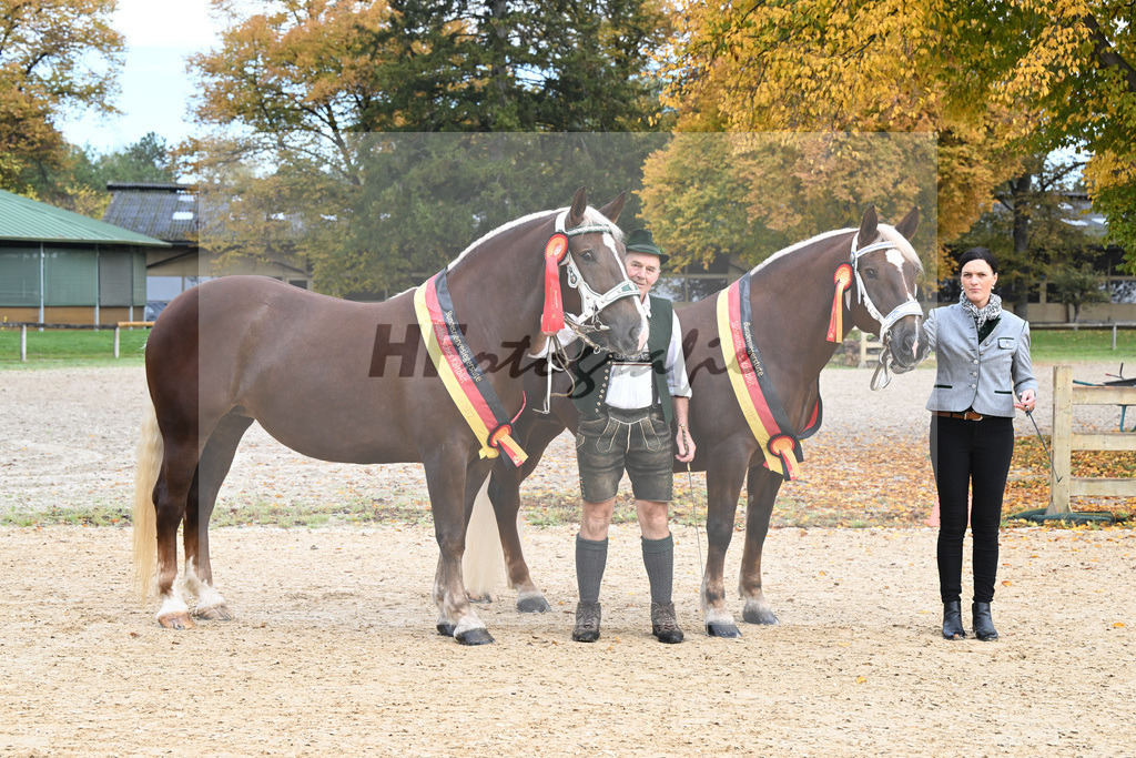 Siegerstuten_Buechl_Bachmair_53222957 | hf-fotografie - Realisiert mit Pictrs.com