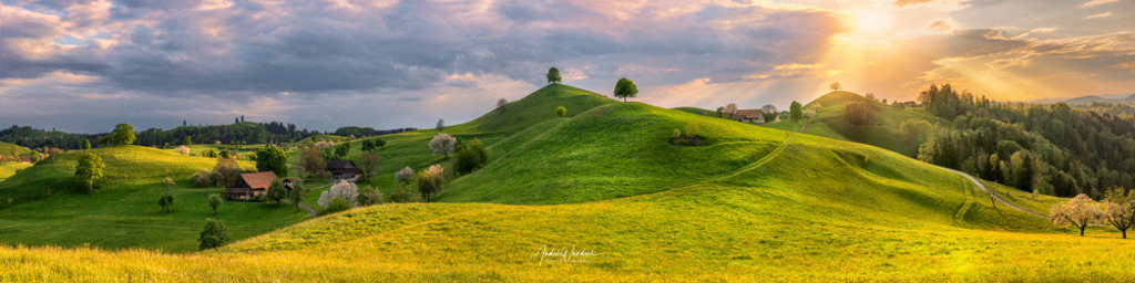 Hügellandschaft im Abendlicht (4:1 Format) | Andre Wandrei - Nature Artworx - Realisiert mit Pictrs.com
