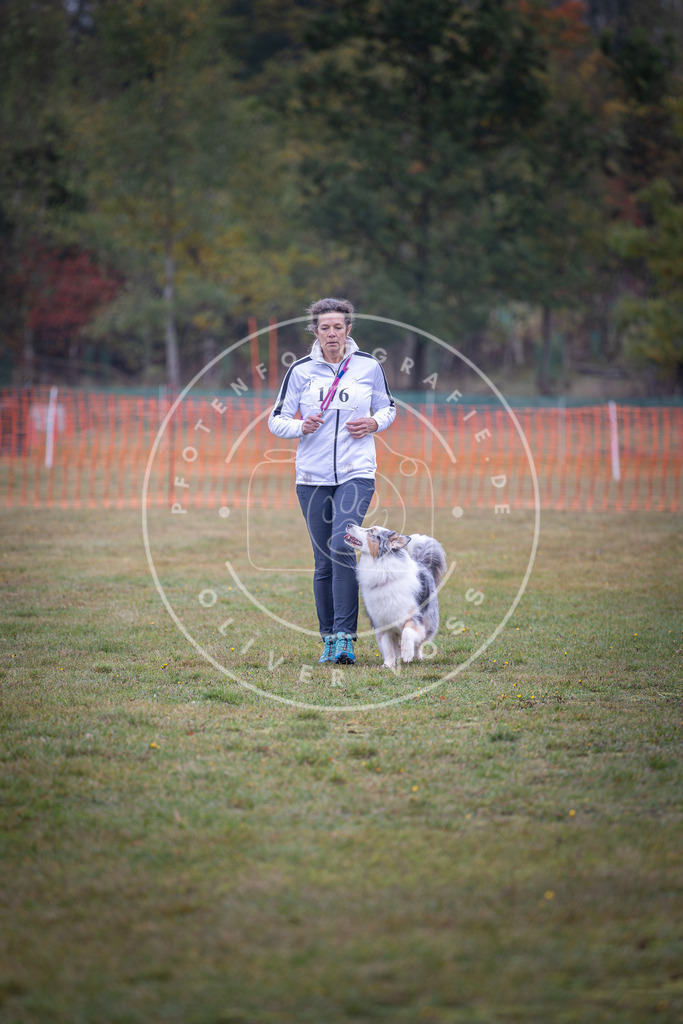 Pfotenfotografie_DV3A9399 | Hundefotografie, Tierfotograf, Pfotenfotografie, Fotoshooting Hund, Hunde Portrait, Hundesport, Hundeportraits, Heideshooting, Hunde, Sportfotograf, Hundefotograf, Turnierhundsport, THS,  - Realisiert mit Pictrs.com