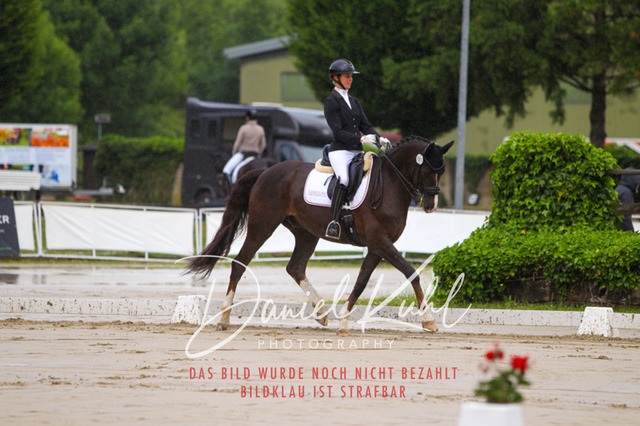 DKP40537 | Turniersportfotografie; Pferdefotografie; Dressurfotografie