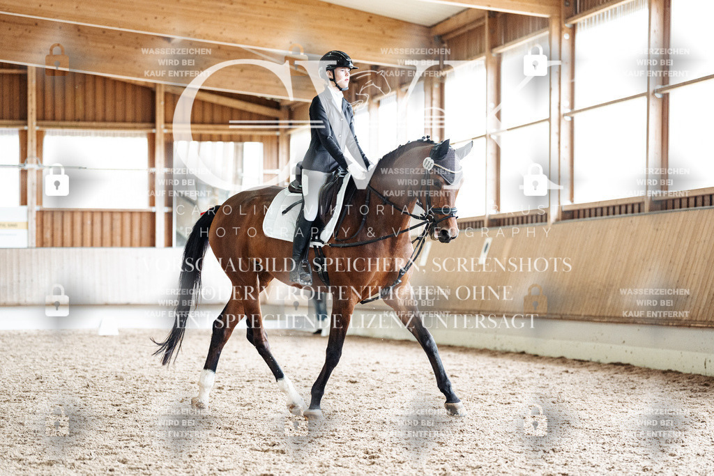 CK900685 | Turnierfotografie Pferdefotografie Trier Rheinland-Pfalz Pferdesport Reitsport Tierfotografie Sportfotografie Pferdevideo Pferdevideografie Equestrianvideography equestrianphotography  - Realisiert mit Pictrs.com