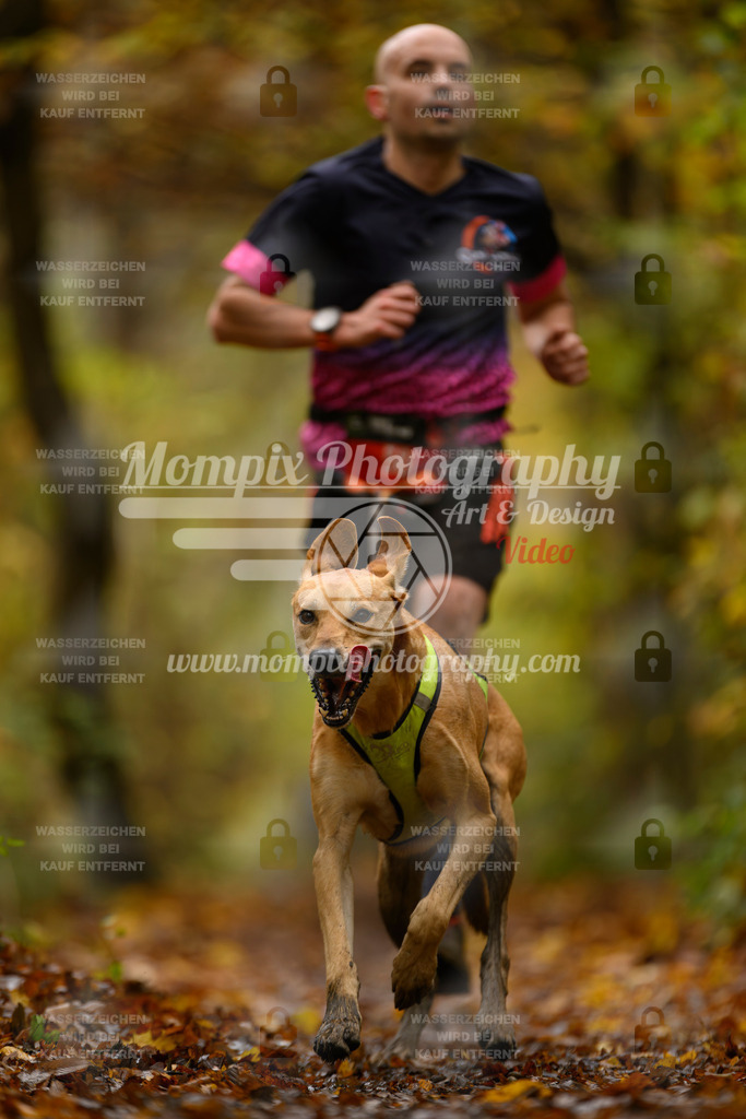 MompixPhotography_CD7S_DI_CCL-3 | mompixphotography