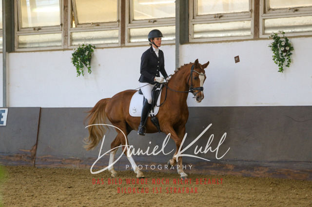 IMG_3037 | Turniersportfotografie; Pferdefotografie; Dressurfotografie
