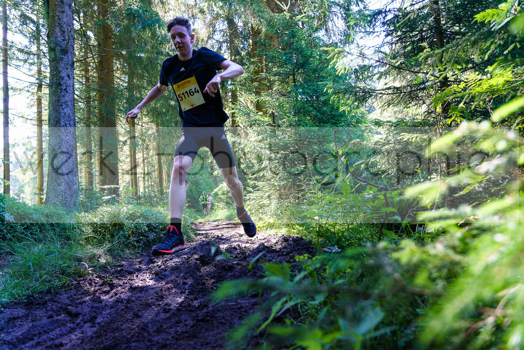 Schneekopflauf 2024 | Am 6. Juli 2024 startete der 21. Schneekopflauf von Schmiedefeld zum Schneekopf.