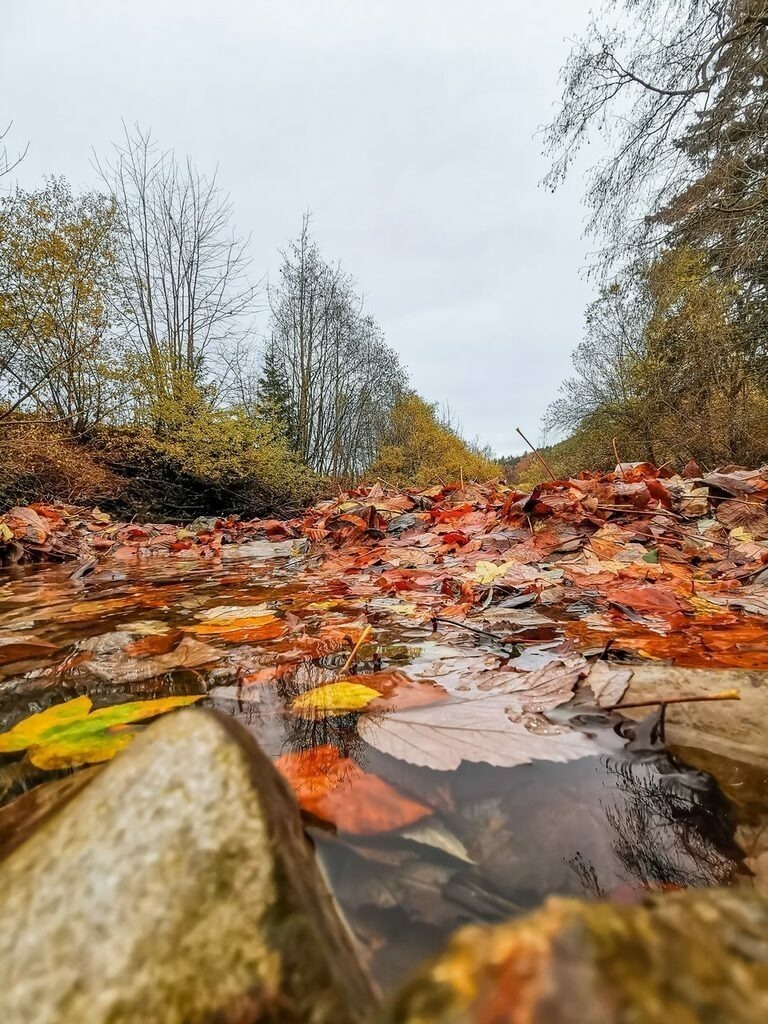 PSX_20211102_235730 | mtkfoto_ - Realisiert mit Pictrs.com