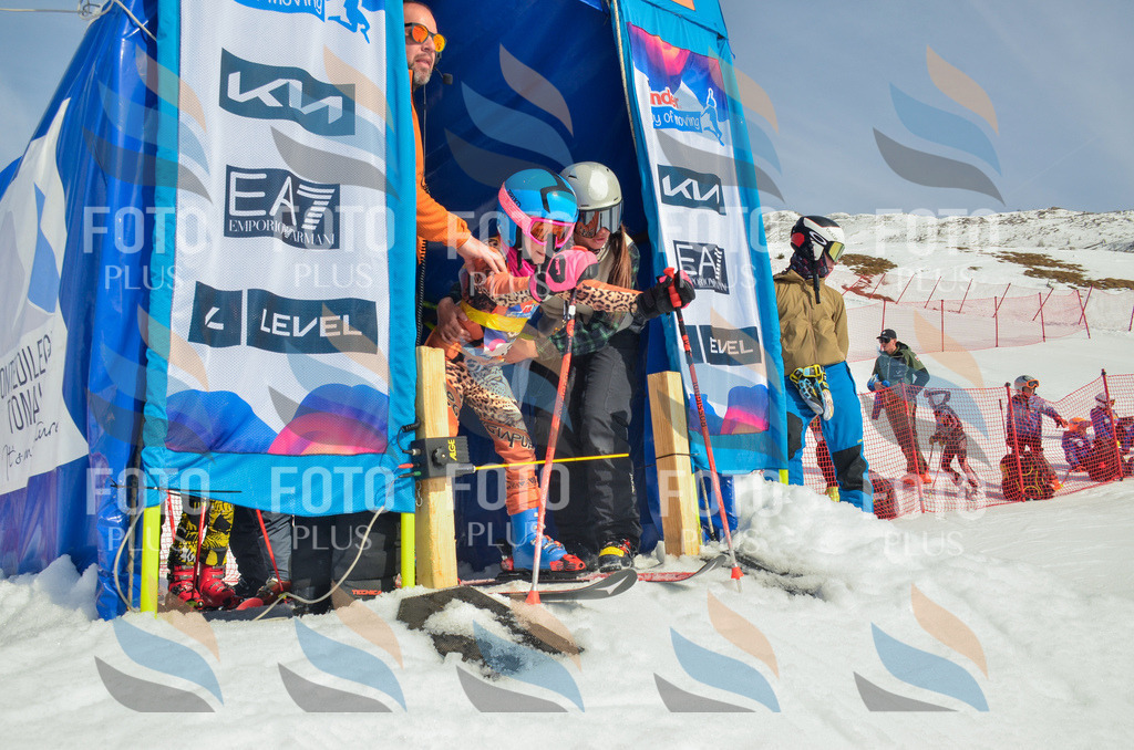 _ELE4368 | holidayphoto