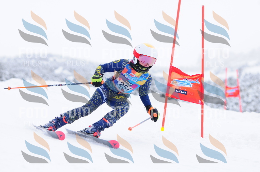 C2677 | holidayphoto