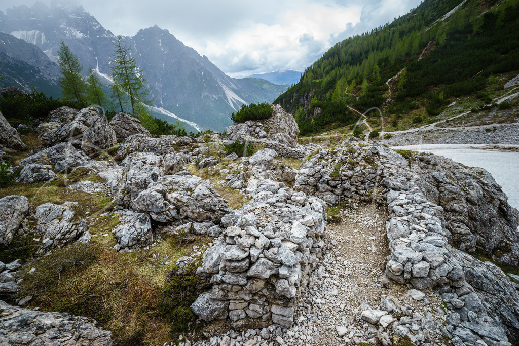 _DSC4845 | Baumgartner Markus Fotografie
