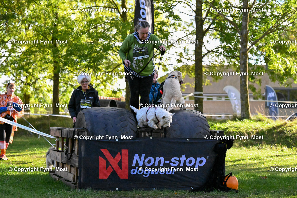 DSC_6230 | Hallo und herzlich Willkommen auf meiner Shop-Seite Fynn Most.

Ich wünsche Dir viel Spaß beim stöbern durch die Bilder, wenn Du Fragen hast oder Bilder vermisst, kannst du mir gerne eine Nachricht schreiben. - Realisiert mit Pictrs.com