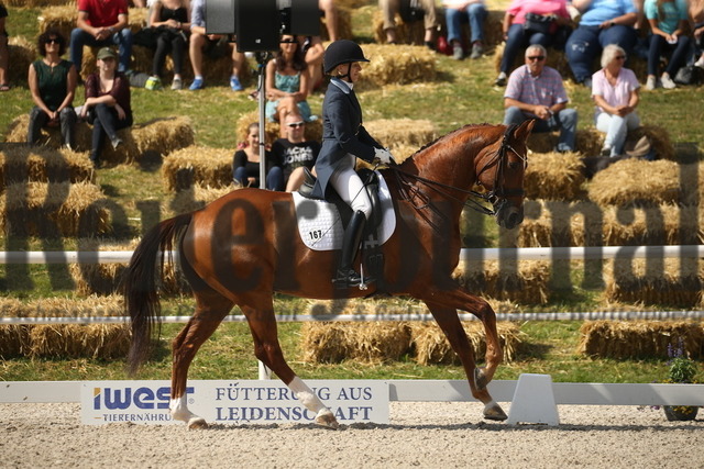 Birkhof_2022_GrandPrixSpecial_Nadine Capellmann_Waitoni (2) | Alle Fotos der Reiterjournal Fotografin Doris Matthaes im Reiterjournal Online-Fotoshop. - Realisiert mit Pictrs.com