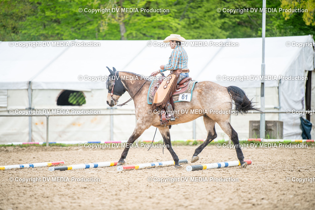 Heiligenwald Tag 1-2081 | dv-media-shop - Realisiert mit Pictrs.com