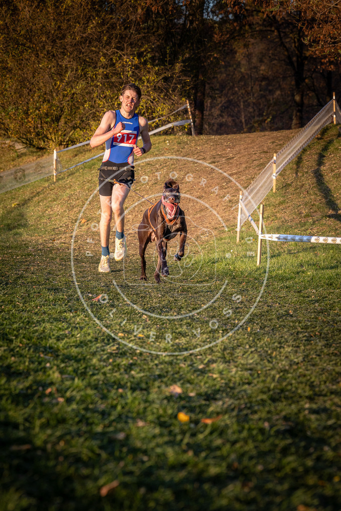 CaniXpix_0L8A1515 | Hundefotografie, Tierfotograf, Pfotenfotografie, Fotoshooting Hund, Hunde Portrait, Hundesport, Hundeportraits, Heideshooting, Hunde, Sportfotograf, Hundefotograf, Turnierhundsport, THS,  - Realisiert mit Pictrs.com