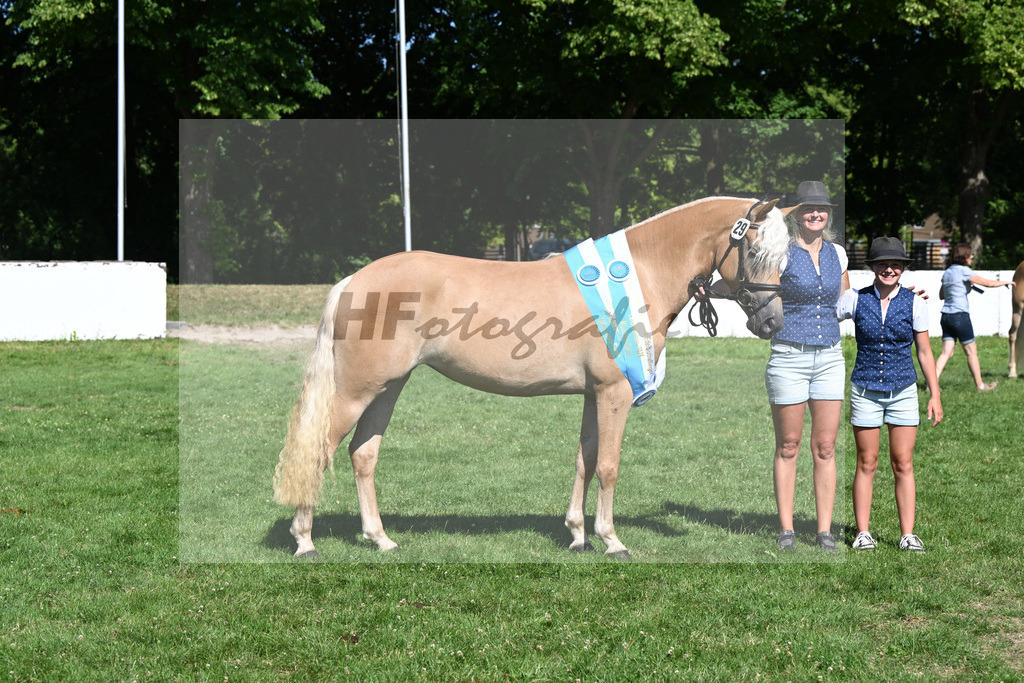 Kat-Nr. 29 Baghira v. Schampus_Czernoch_18251639 | hf-fotografie - Realizzato con Pictrs.com