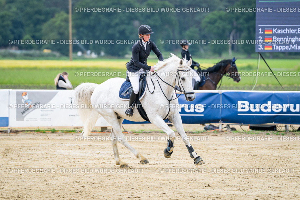 DSC03576 | Pferdegrafie