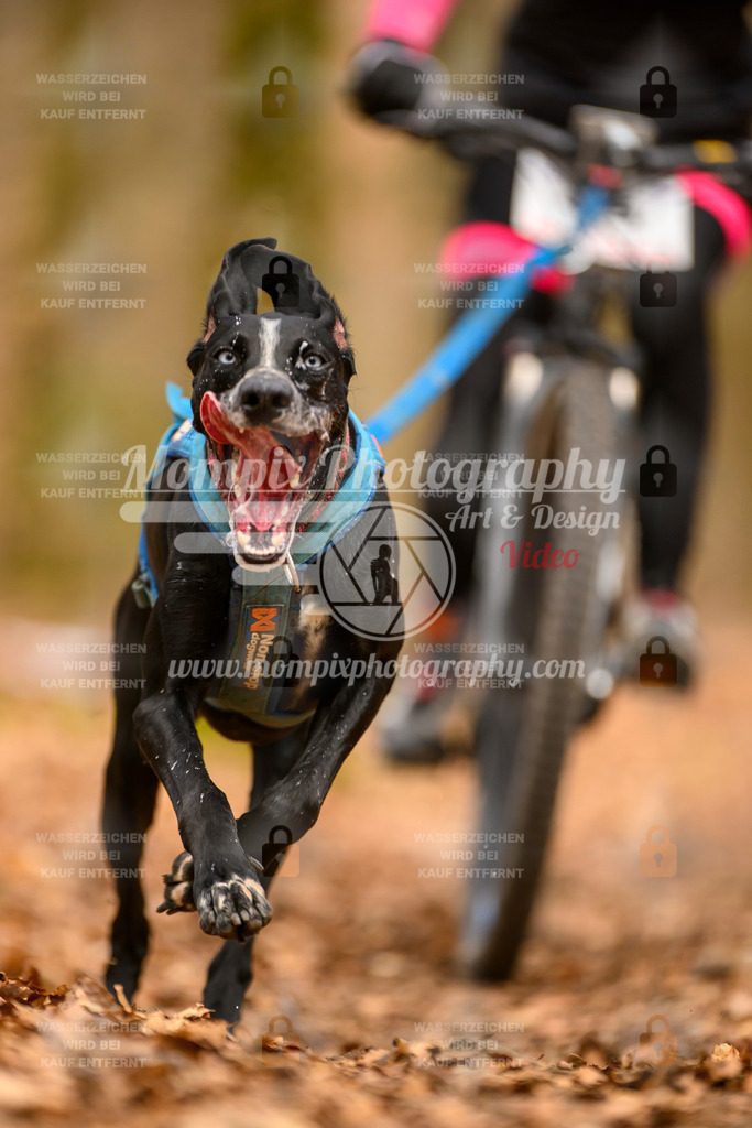 MompixPhotography_Habay2025_SA_Bike-118 | mompixphotography