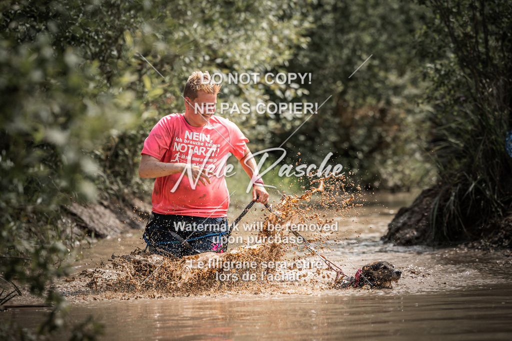 nelerasche_Hoope2026_So1130-1200_62 | nelerasche