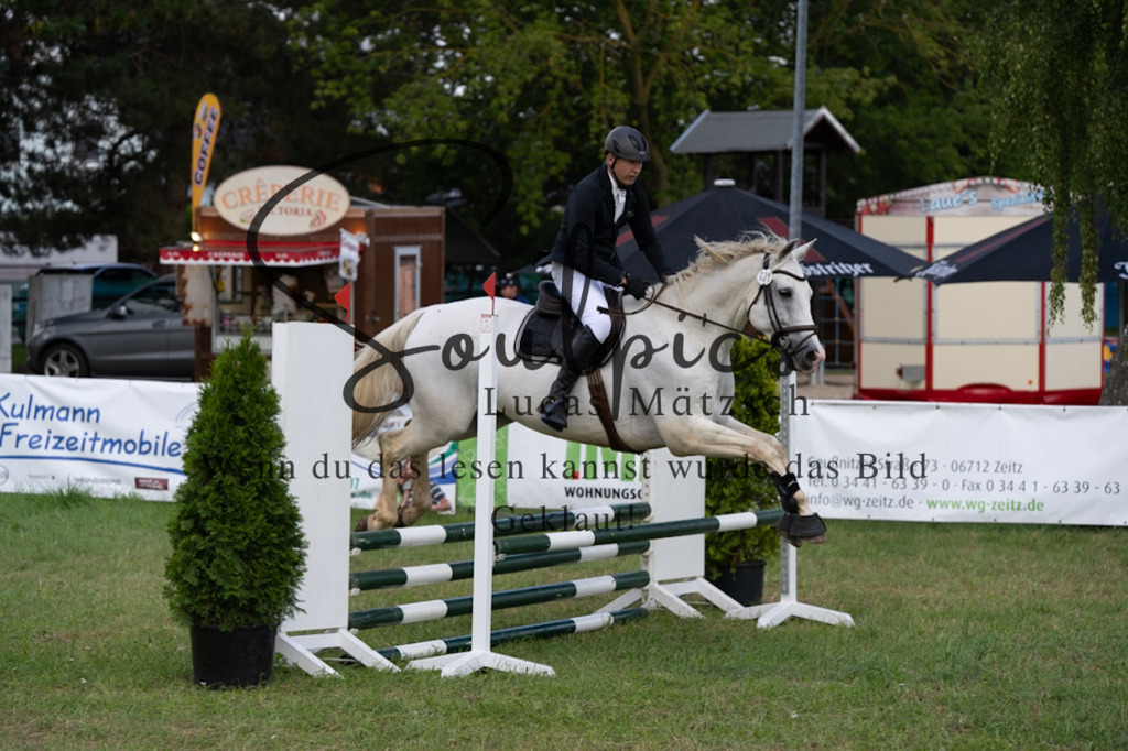 A7V05229 | Pferdefotograf