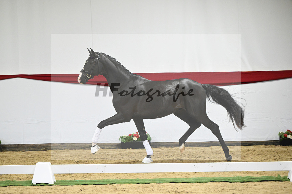Kat-Nr. 19 v. Escamillo_Dalsem_63220383 | hf-fotografie - Realizzato con Pictrs.com