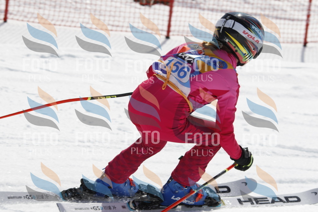 _U3G1352 | holidayphoto