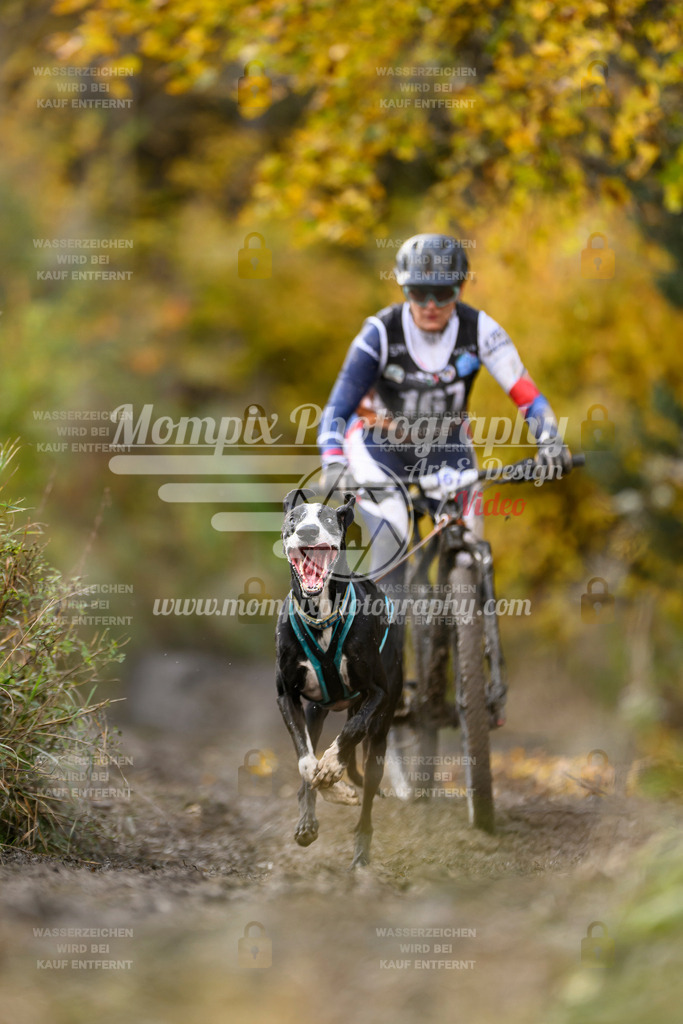 MompixPhotography_ICF_WC_2024_SA_Bike_-227 | PayLife