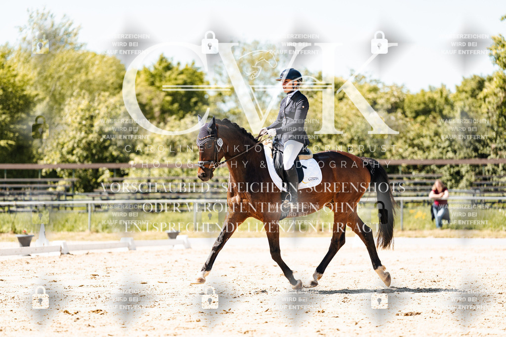 CK905615 | Turnierfotografie Pferdefotografie Trier Rheinland-Pfalz Pferdesport Reitsport Tierfotografie Sportfotografie Pferdevideo Pferdevideografie Equestrianvideography equestrianphotography  - Realisiert mit Pictrs.com