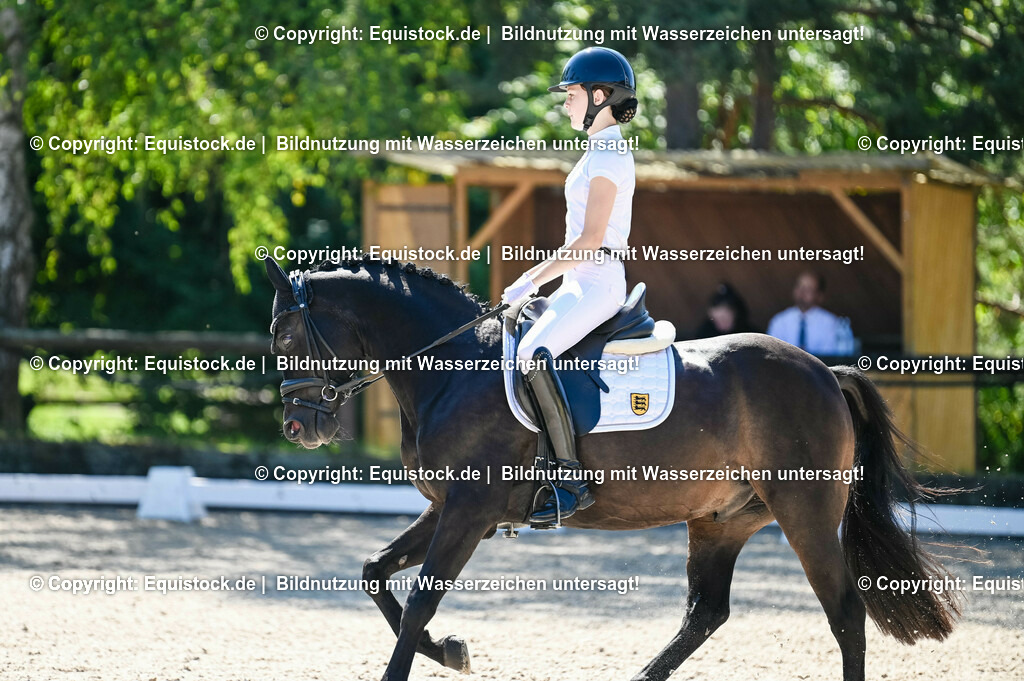 20230908_06_Dressur-L-Trense_0619 | equistock