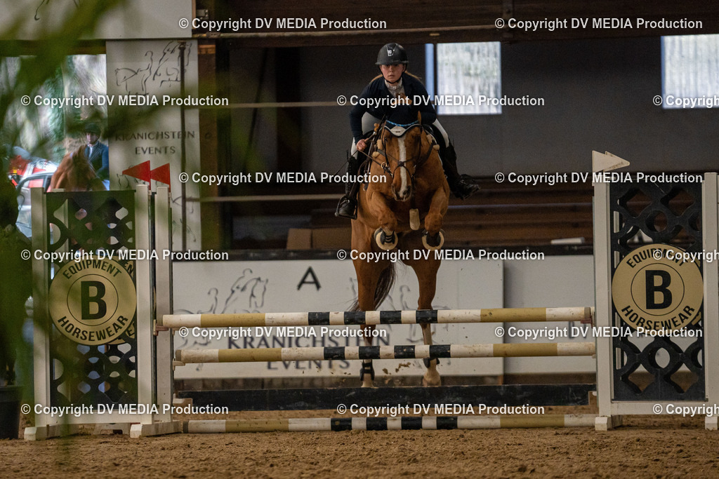 Kranichstein Tag 1-149 | dv-media-shop - Realisiert mit Pictrs.com