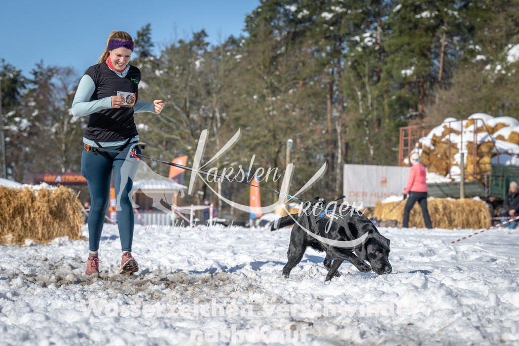 1101_ZZ94358-2 | kk-dogfotos