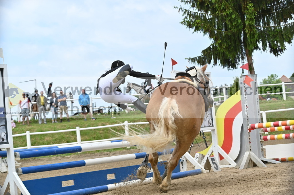 DSC_9195 | equestrian-live-com