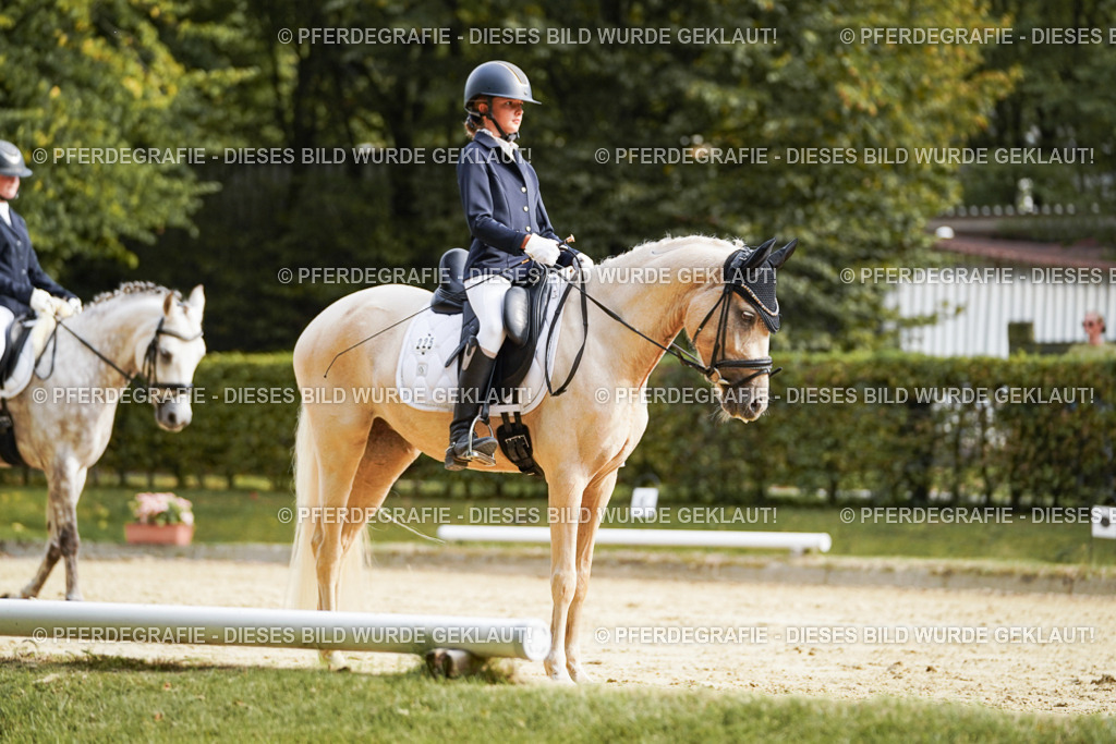 DSC04837 | Pferdegrafie