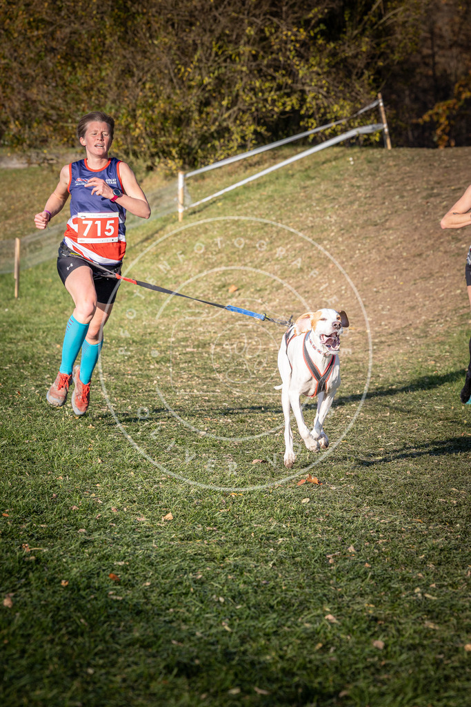 CaniXpix_0L8A9577 | Hundefotografie, Tierfotograf, Pfotenfotografie, Fotoshooting Hund, Hunde Portrait, Hundesport, Hundeportraits, Heideshooting, Hunde, Sportfotograf, Hundefotograf, Turnierhundsport, THS,  - Realisiert mit Pictrs.com